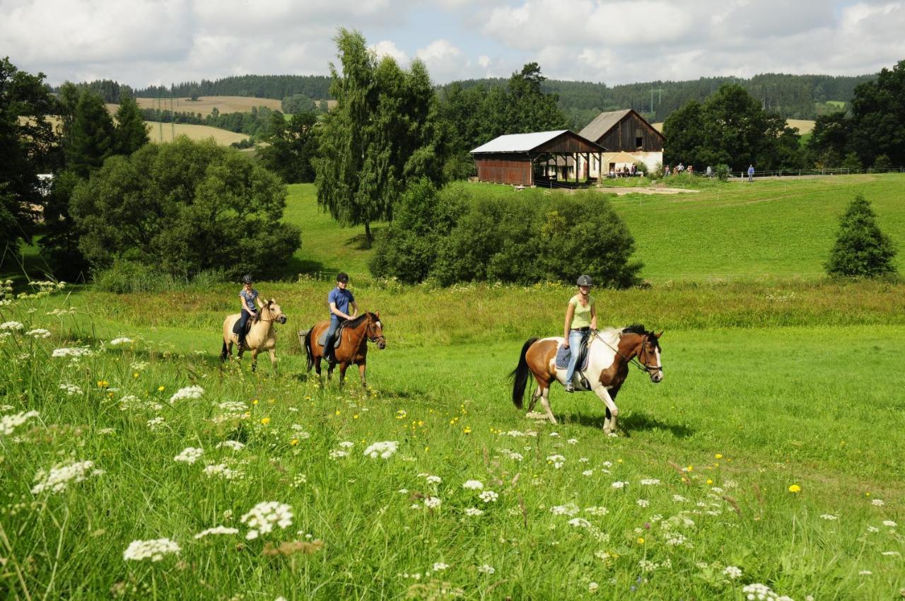 Lidmiluv Mlyn Hotel Sadek Buitenkant foto