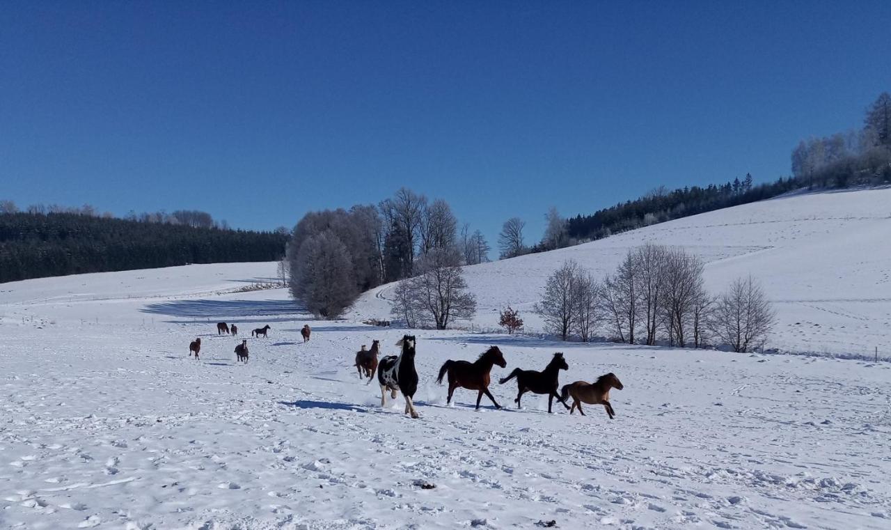 Lidmiluv Mlyn Hotel Sadek Buitenkant foto